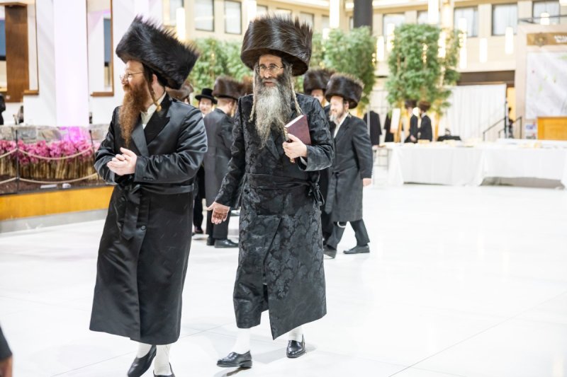 אלי שווארץ