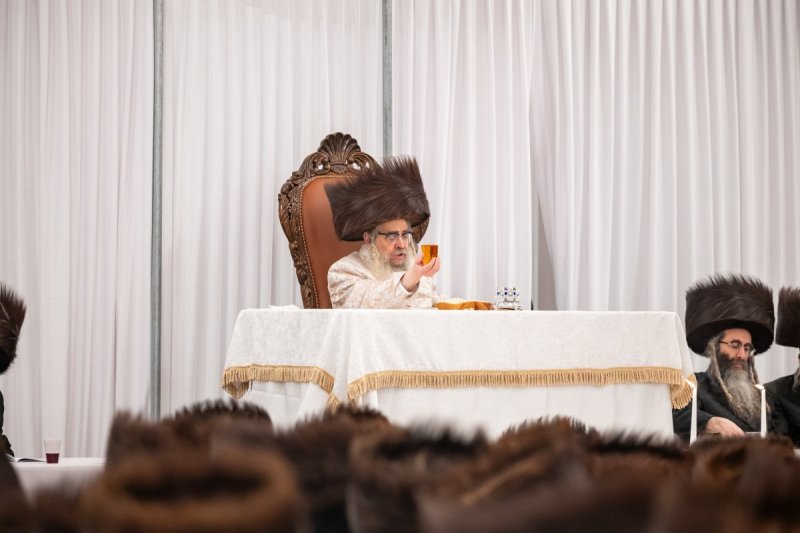 אלי שווארץ