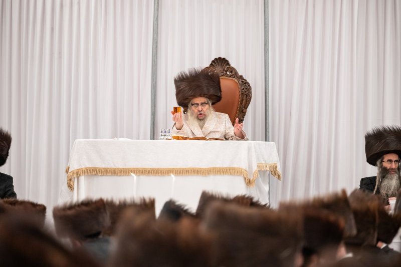 אלי שווארץ