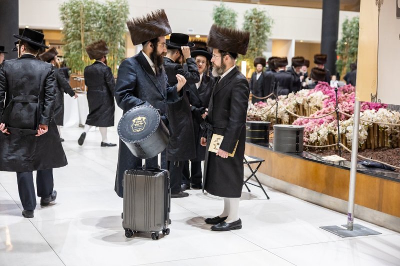 אלי שווארץ