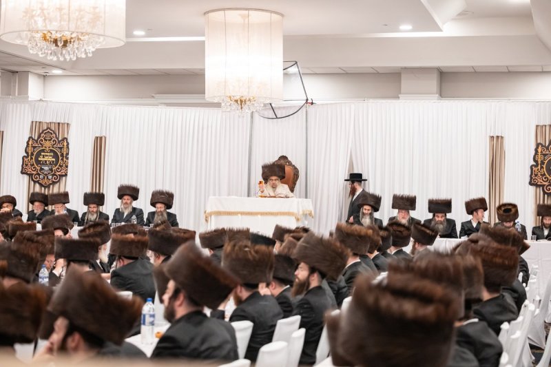 אלי שווארץ