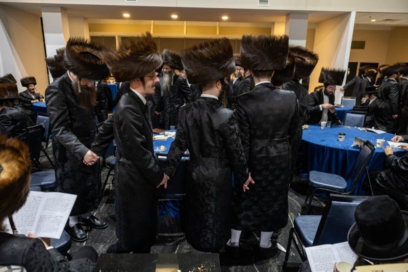 אלי שווארץ