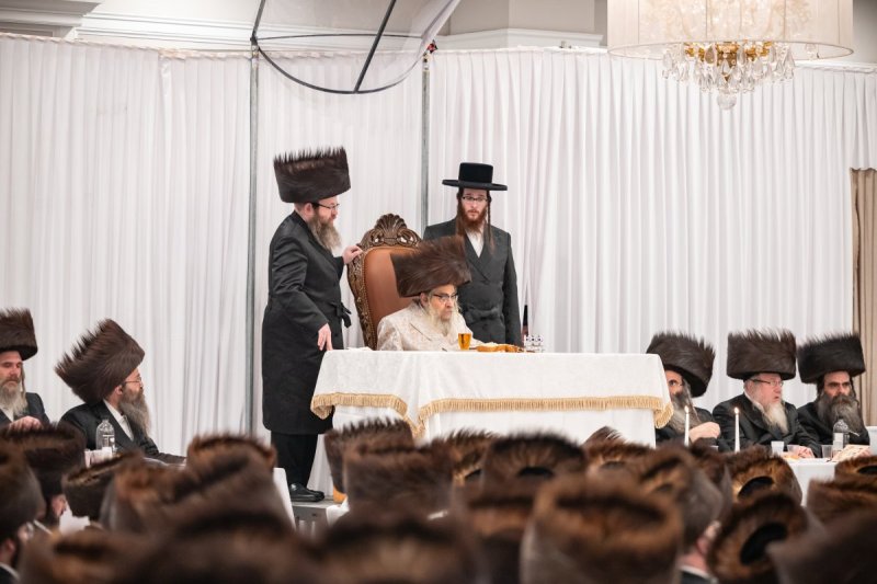 אלי שווארץ