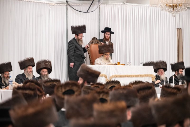 אלי שווארץ