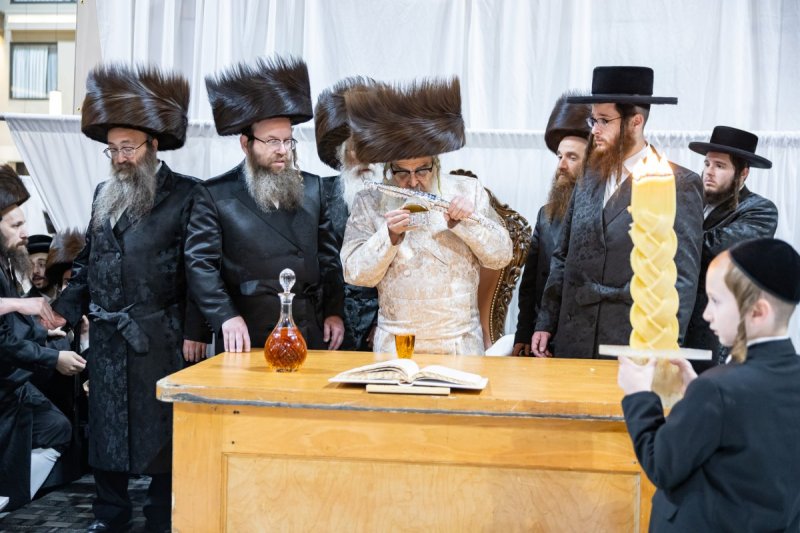 אלי שווארץ
