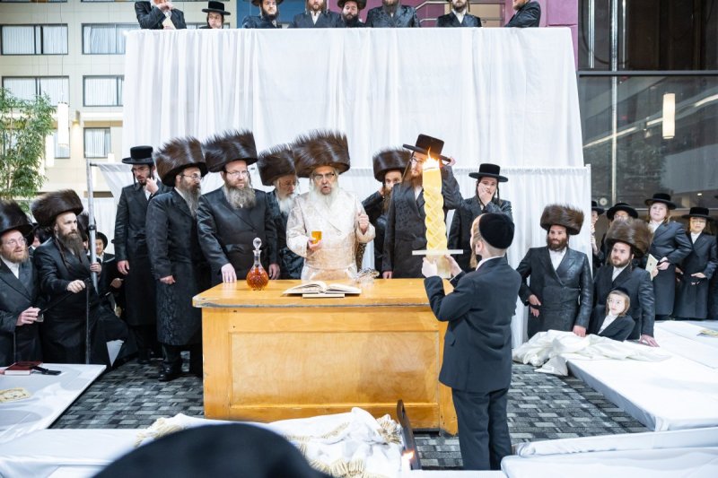 אלי שווארץ