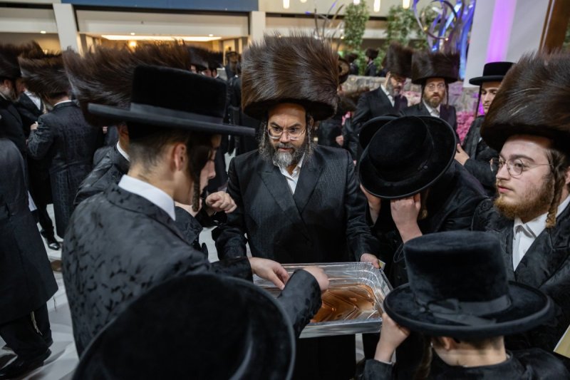 אלי שווארץ