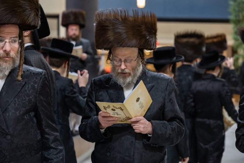 אלי שווארץ