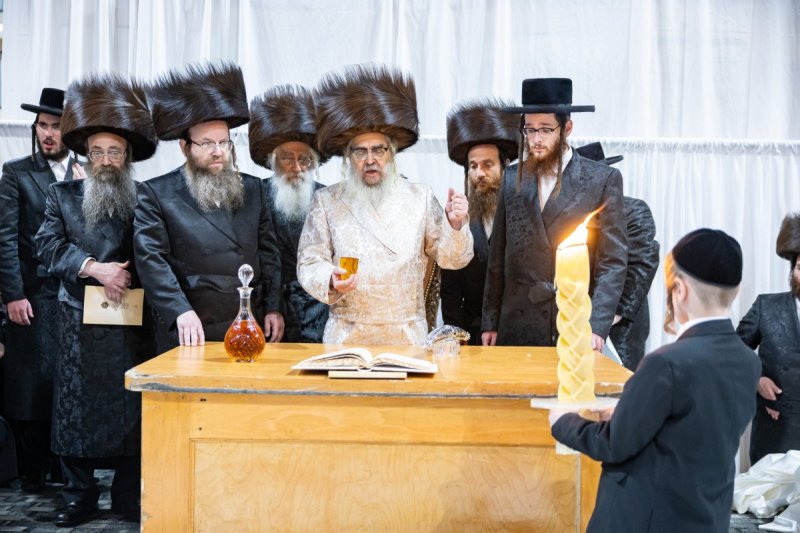 אלי שווארץ