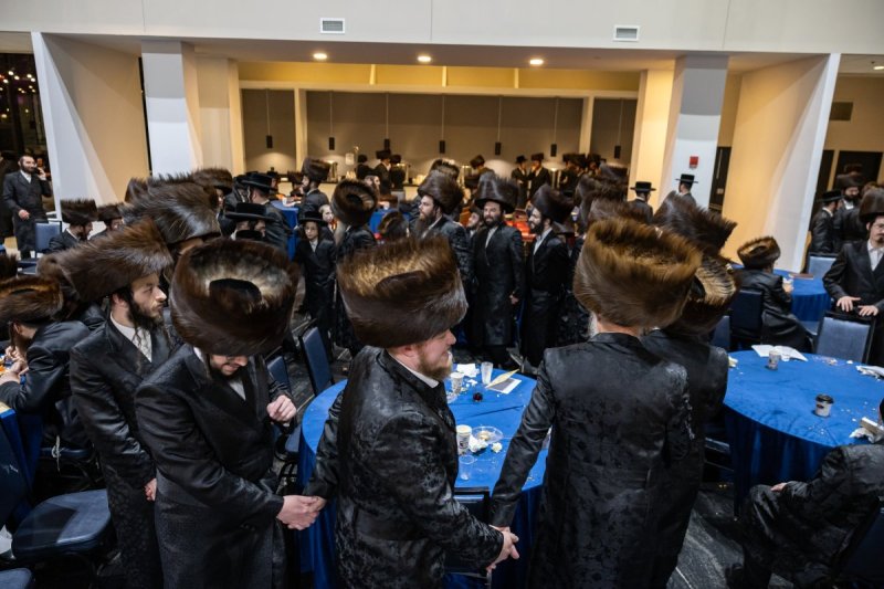 אלי שווארץ