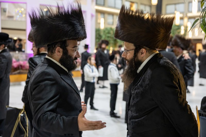 אלי שווארץ