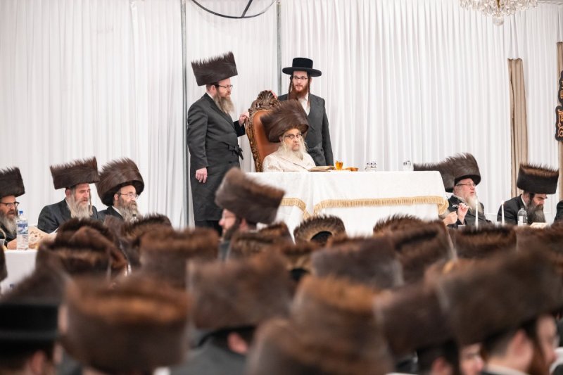 אלי שווארץ