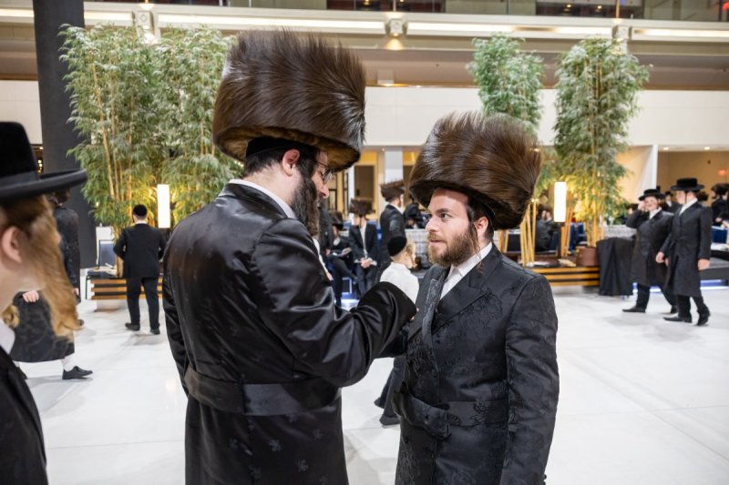 אלי שווארץ