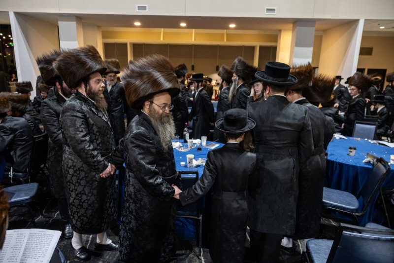 אלי שווארץ