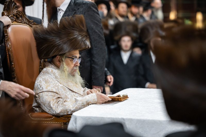 אלי שווארץ