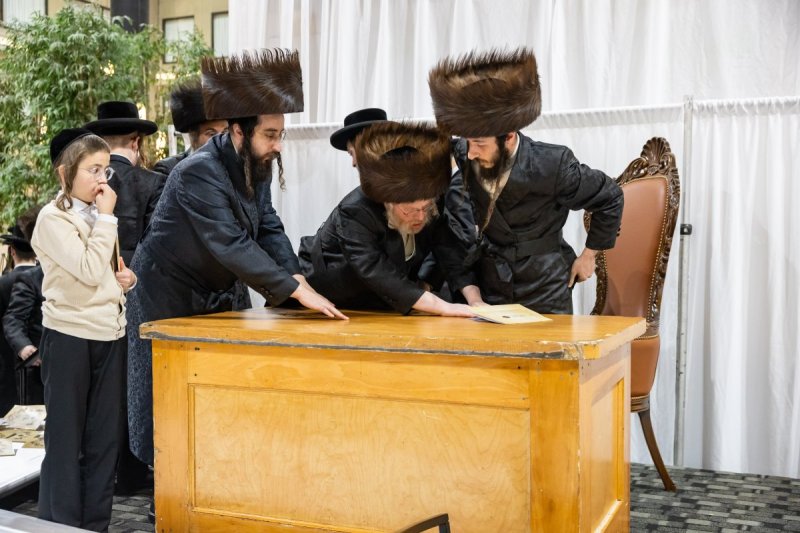 אלי שווארץ