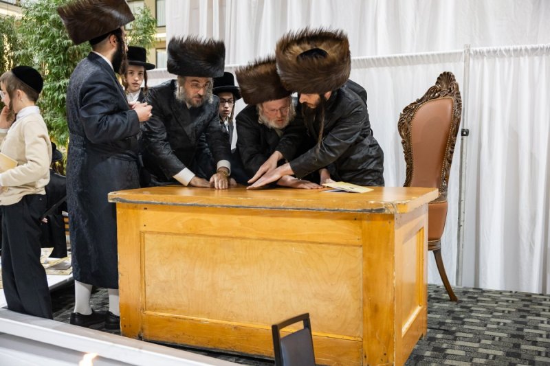 אלי שווארץ