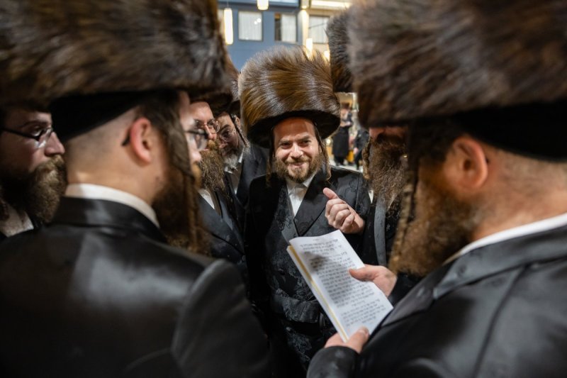 אלי שווארץ