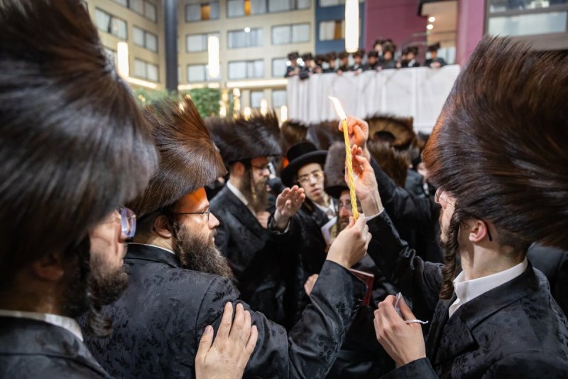אלי שווארץ