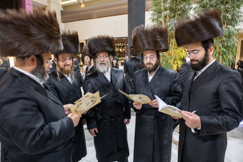 אלי שווארץ