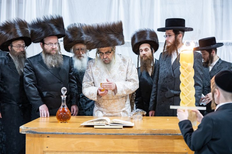 אלי שווארץ