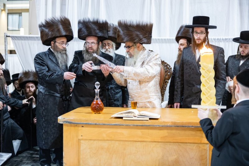 אלי שווארץ