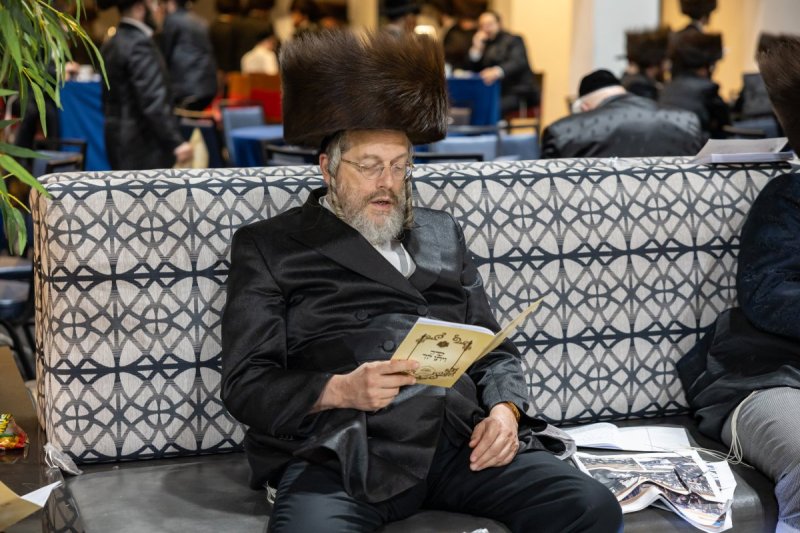 אלי שווארץ
