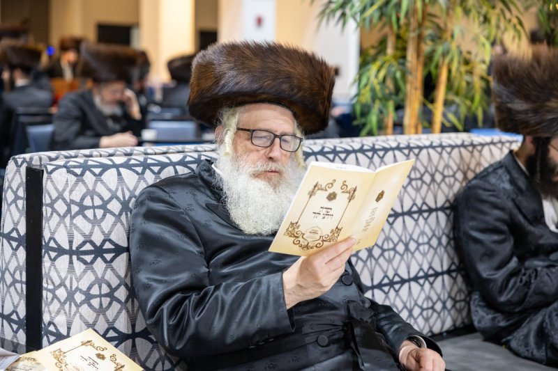 אלי שווארץ