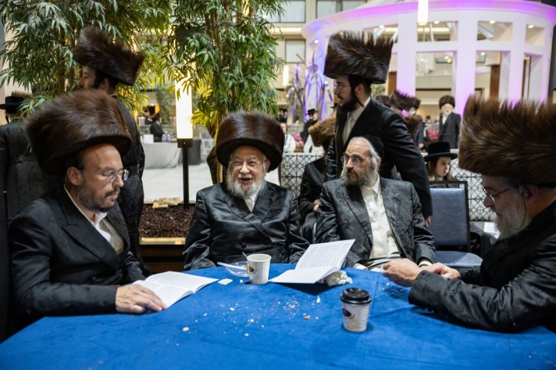אלי שווארץ