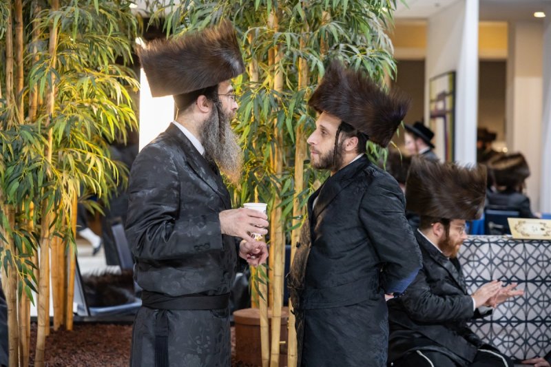 אלי שווארץ