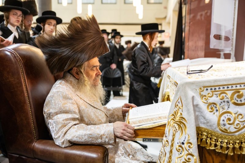 אלי שווארץ
