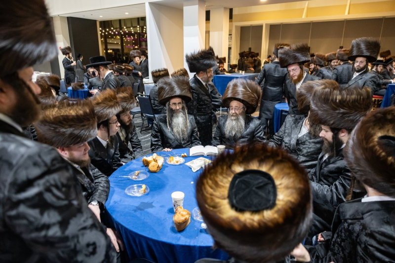 אלי שווארץ