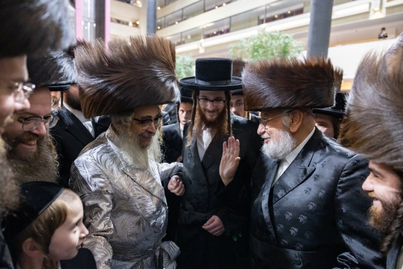 אלי שווארץ