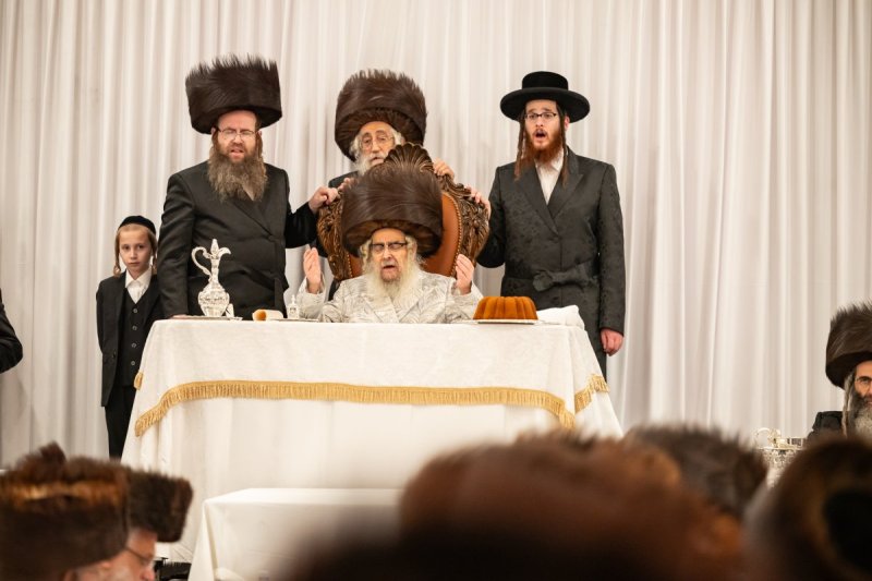 אלי שווארץ