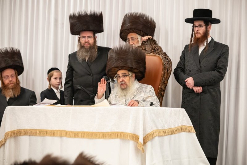 אלי שווארץ