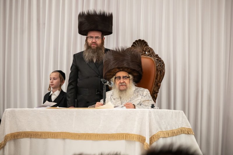 אלי שווארץ