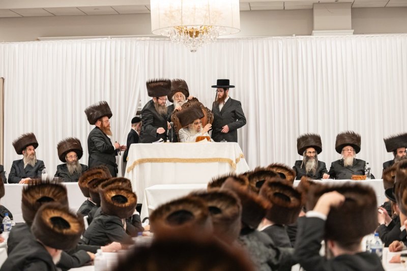 אלי שווארץ