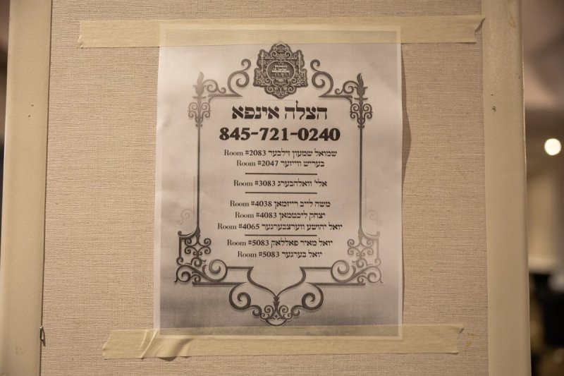 אלי שווארץ
