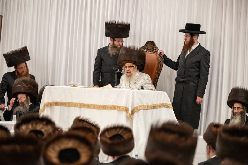 אלי שווארץ