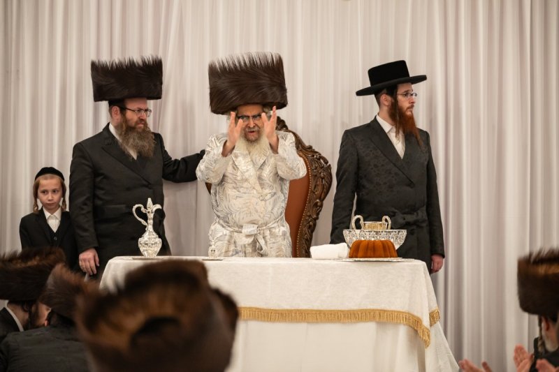 אלי שווארץ