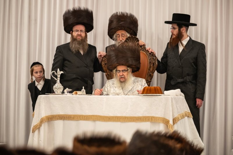 אלי שווארץ