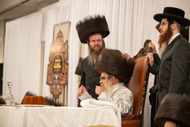 אלי שווארץ