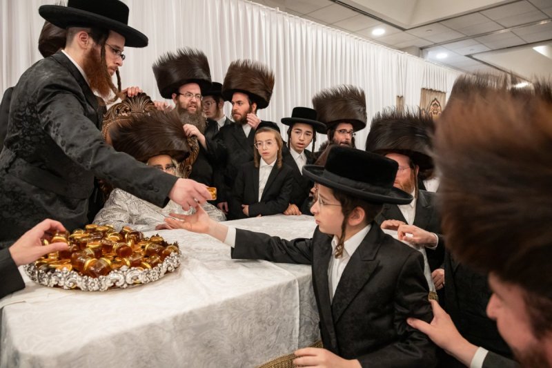 אלי שווארץ