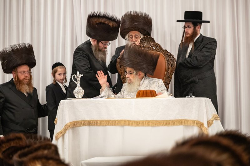 אלי שווארץ