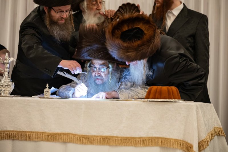 אלי שווארץ