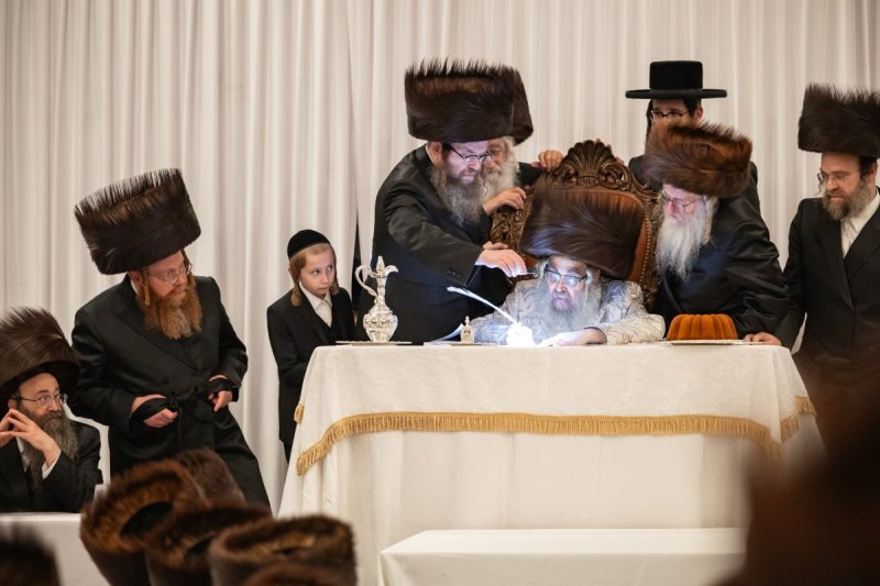 אלי שווארץ