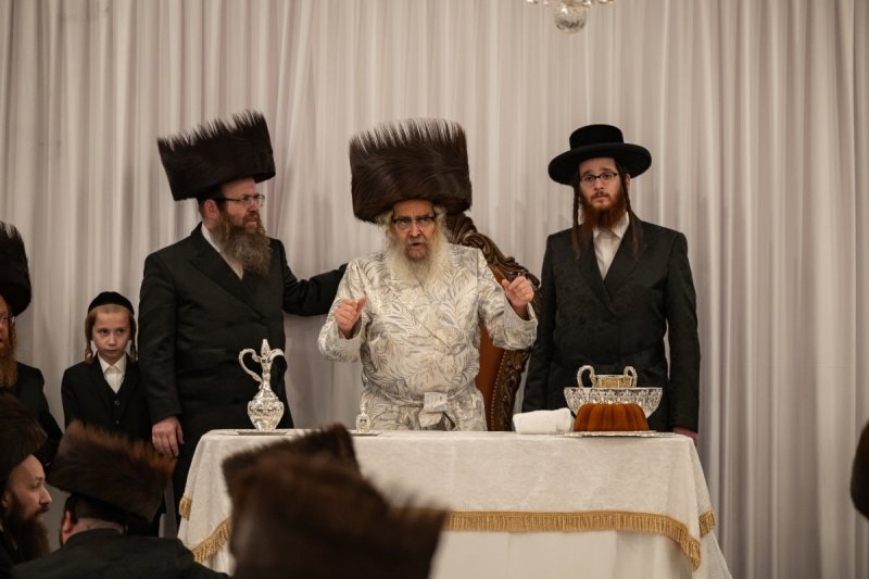 אלי שווארץ