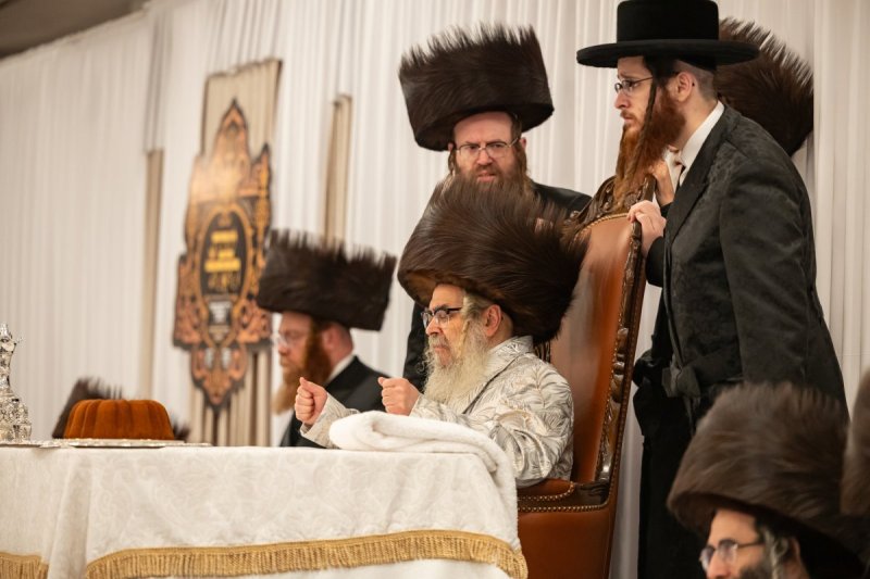 אלי שווארץ