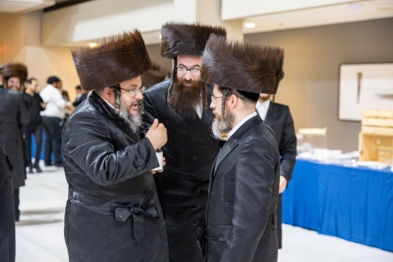 אלי שווארץ