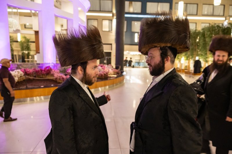 אלי שווארץ